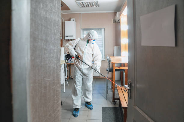 Best Environmental Consulting for Mold Prevention  in East Northport, NY