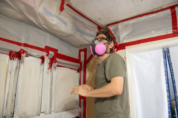 Best Post-Construction Mold Inspection  in East Northport, NY