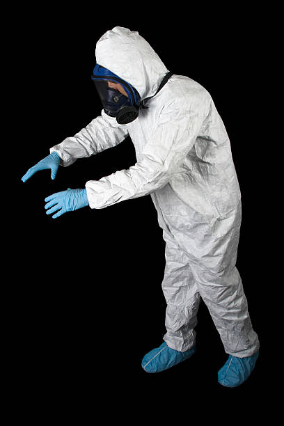 Best Attic Mold Removal  in East Northport, NY