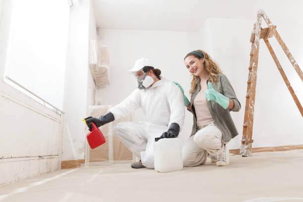 Best Asbestos and Lead Testing During Mold Inspection  in East Northport, NY